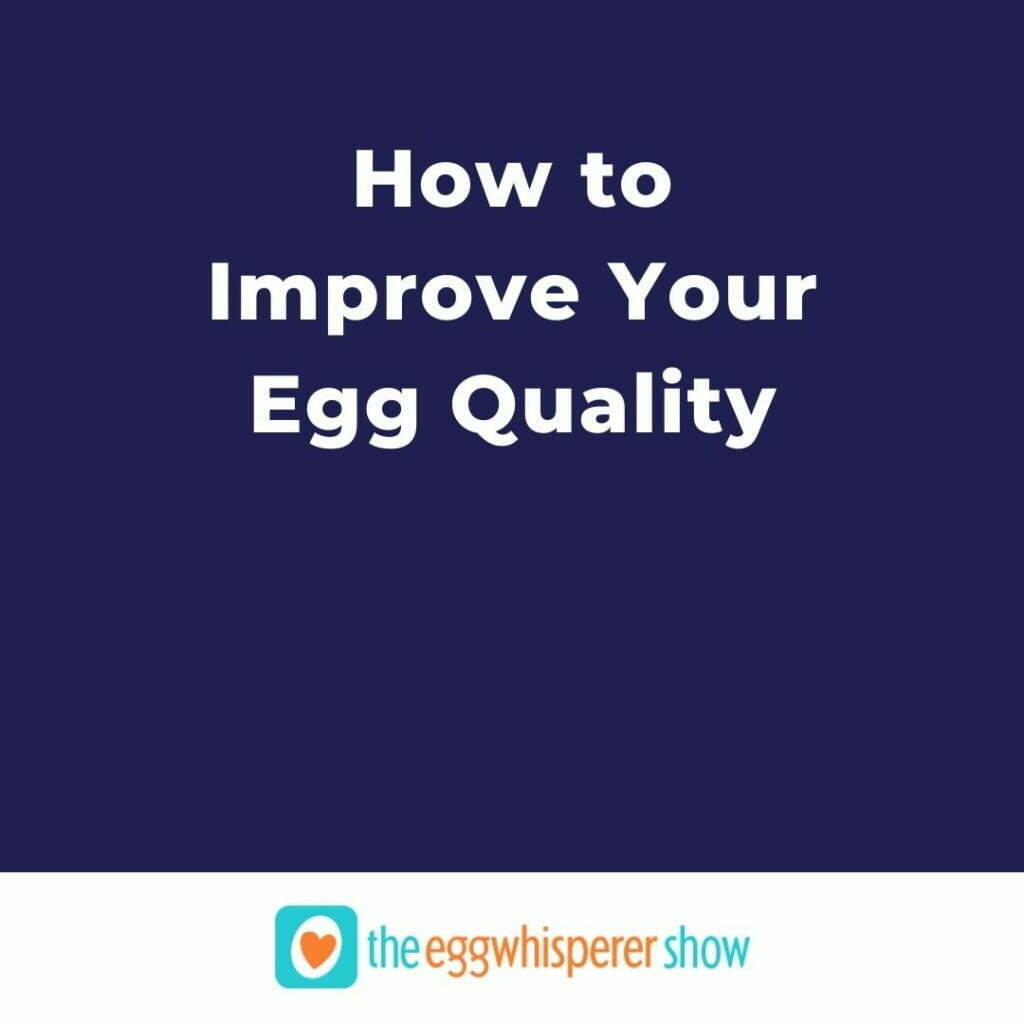 How to Improve Your Egg Quality
