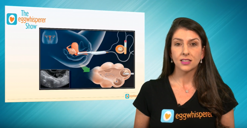 What is IVF?